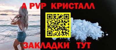 ECSTASY Гай