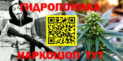 ECSTASY Гай