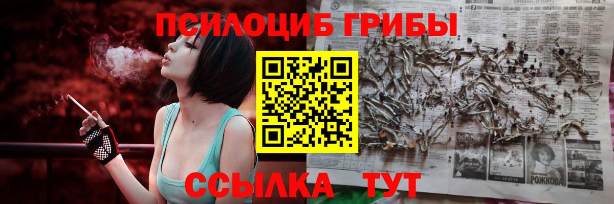 Псилоцибиновые грибы Psilocybine cubensis  Галлюциногенные грибы GOLDEN TEACHER  Карачаевск 