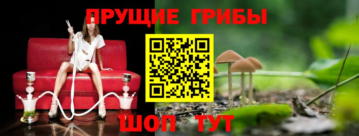Псилоцибиновые грибы Psilocybine cubensis  Вход с VPN  Карачаевск 