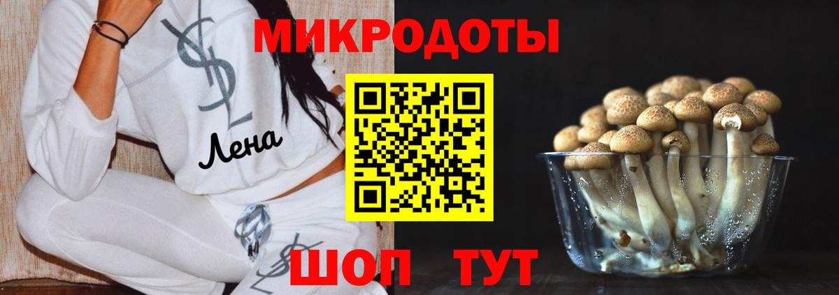 Галлюциногенные грибы GOLDEN TEACHER Карачаевск