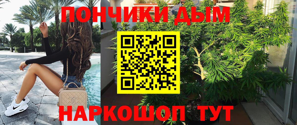 Конопля Bruce Banner  Каннабис тримм  Вход с VPN  Конопля THC 21%  Карачаевск  Марихуана марихуана 